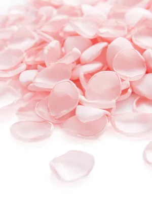 Blush Rose Petals 50/100PCS Silk Flower Petals Flower Girl Scatter Petals For Wedding Table Centerpieces Party Dinner Table Decoration