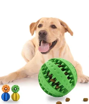 Pet Supplies